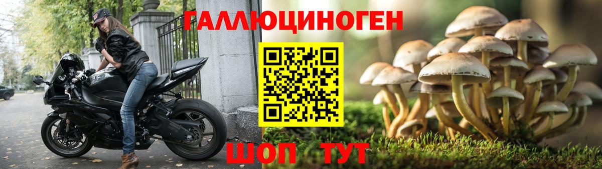 Псилоцибиновые грибы GOLDEN TEACHER  Псилоцибиновые грибы ЛСД  Вход с VPN  Ипатово 